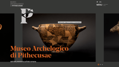 Nuovo Sito web di Museo Pithecusae (foto principale)